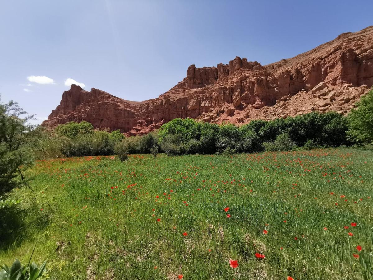 Bab El Atlas Kelaat-M'Gouna Ngoại thất bức ảnh