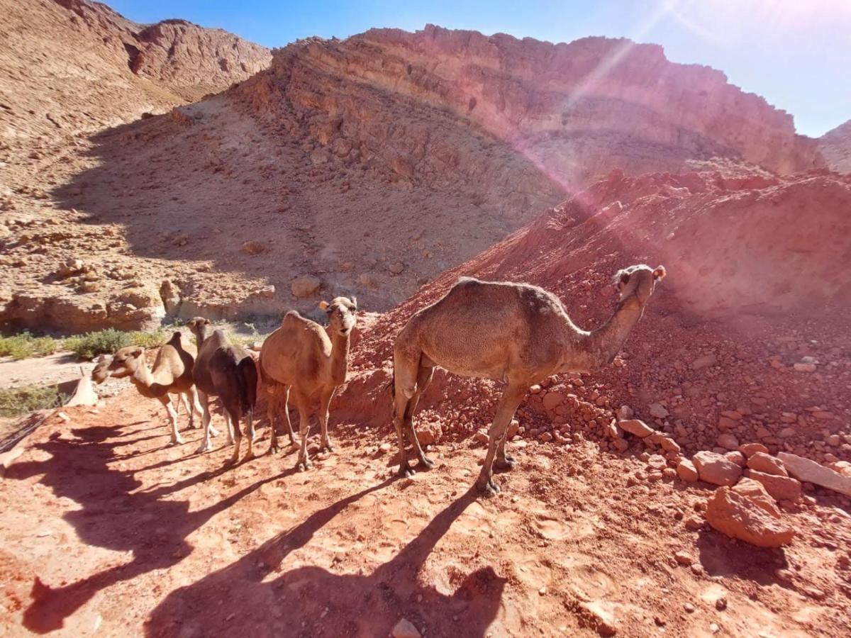 Bab El Atlas Kelaat-M'Gouna Ngoại thất bức ảnh
